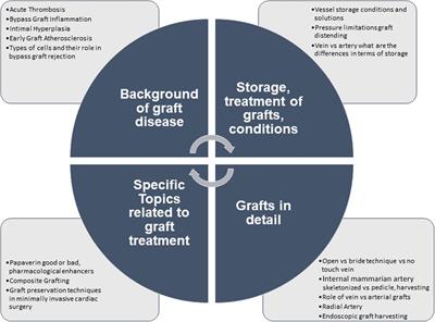 Consensus statement—graft treatment in cardiovascular bypass graft surgery